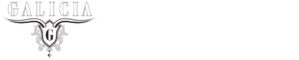 ダイニングバー・ガリシア -GALICIA-（有明・お台場エリア）